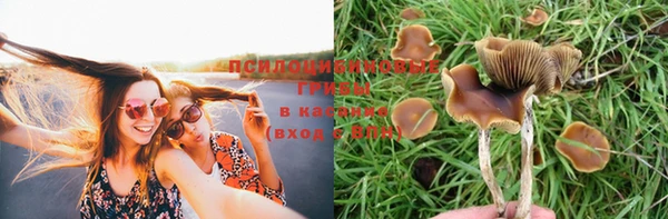 марки lsd Белоозёрский