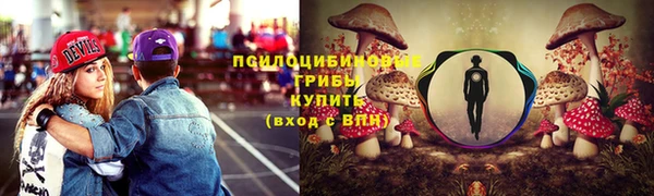 первитин Белокуриха