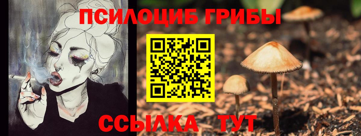 купить наркотик  Вход с VPN  Верхний Уфалей  Галлюциногенные грибы прущие грибы 
